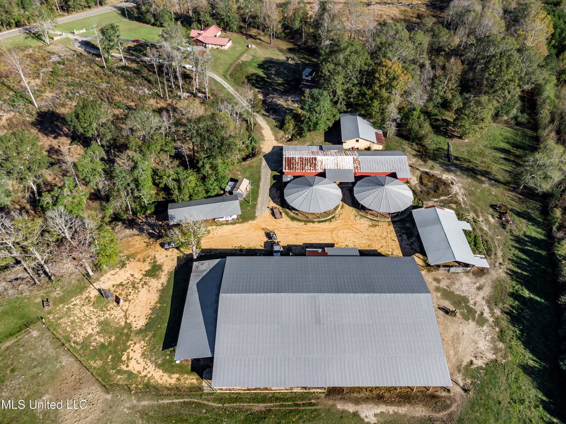 House in Taylorsville, Mississippi, United States 5 - 18178785