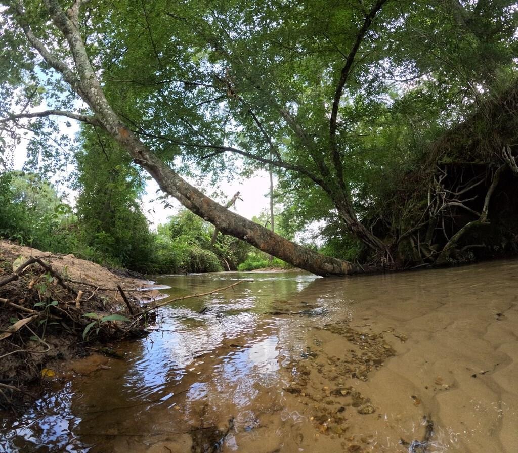 Foxworth, Mississippi, United States 2 - 18178680