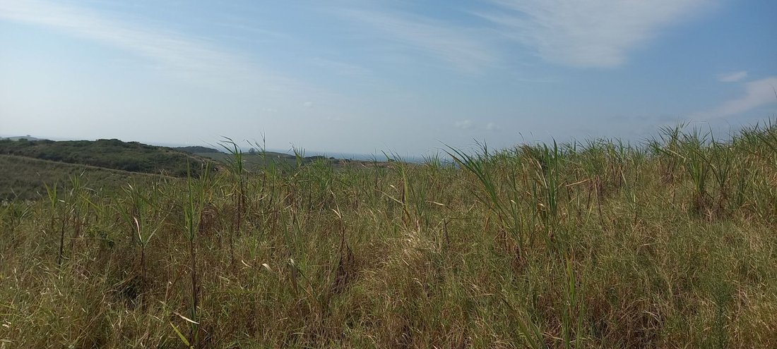 Terreno en Dolphin Coast, KwaZulu-Natal, Sudáfrica 1 - 18181556