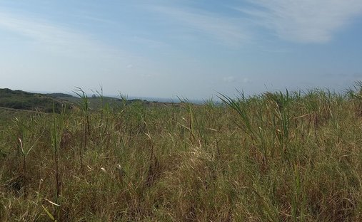 Land in Dolphin Coast, KwaZulu-Natal, South Africa 1