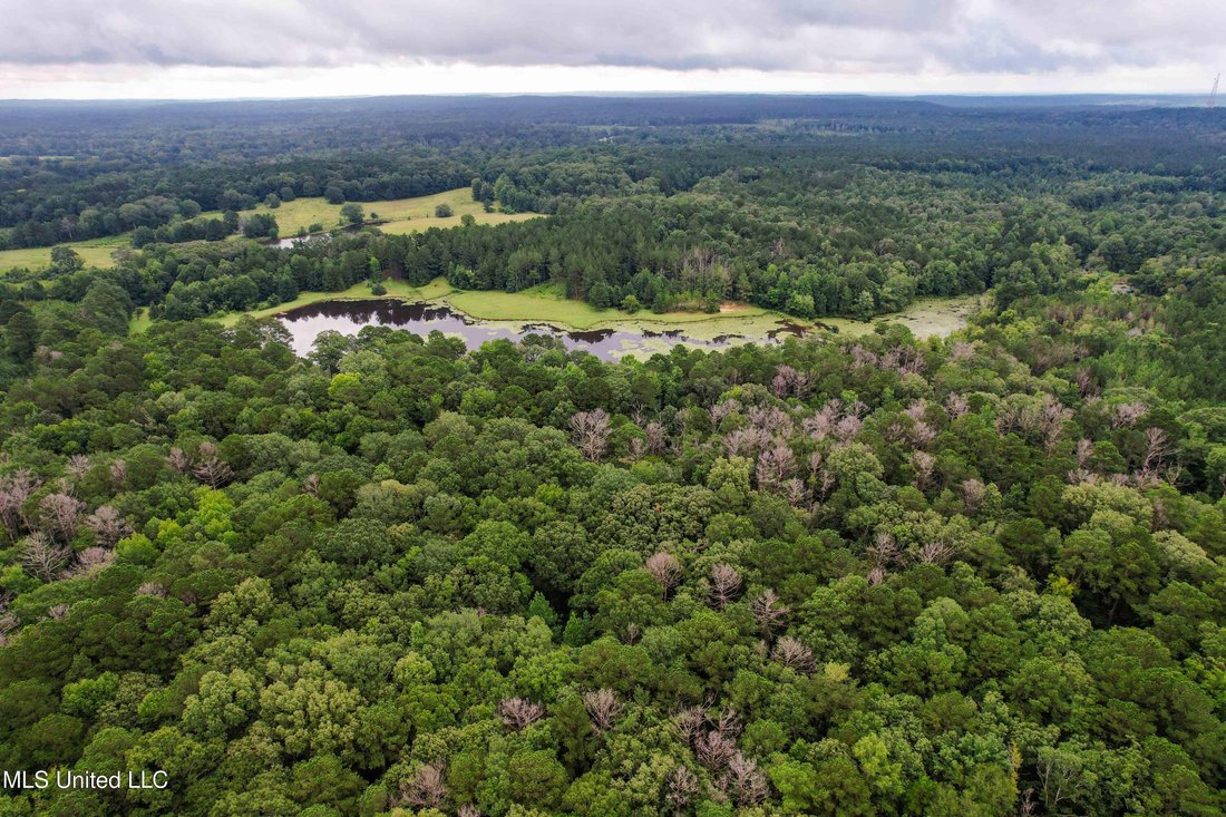 House in Florence, Mississippi, United States 5 - 18179203