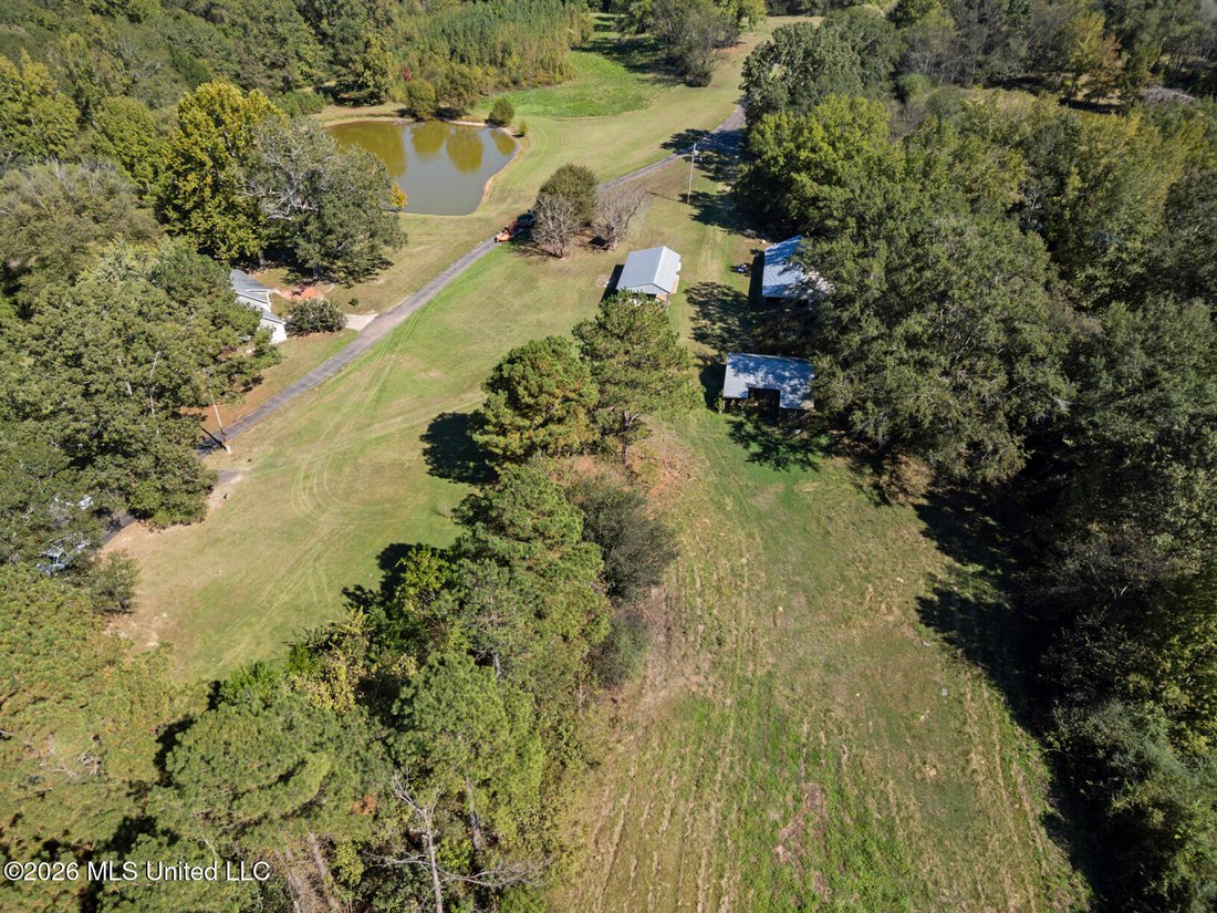 House in Pickens, Mississippi, United States 3 - 18179009
