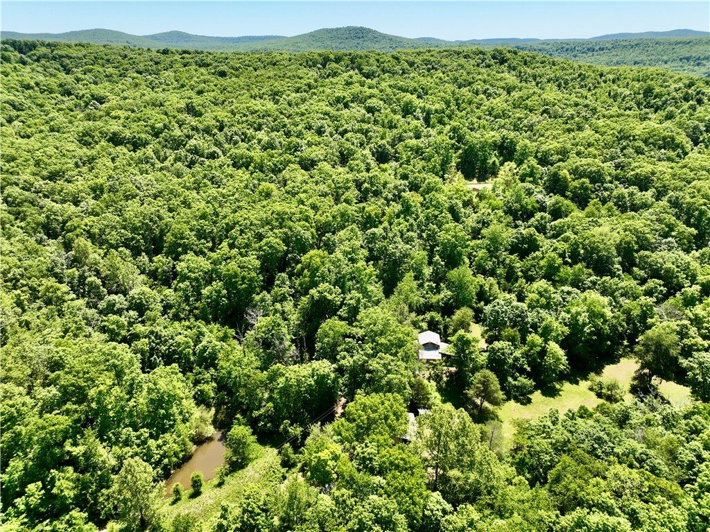 House in Witter, Arkansas, United States 2 - 18180022