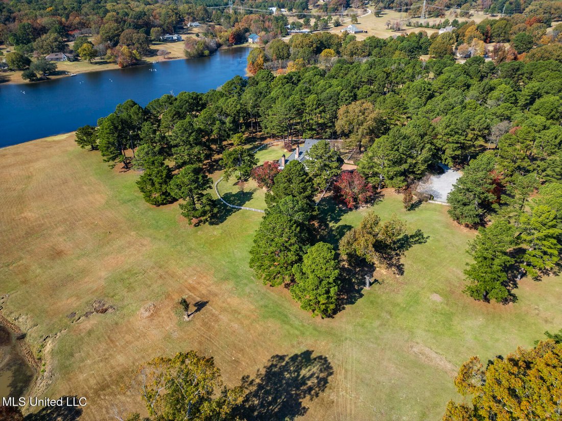 House in Madison, Mississippi, United States 4 - 18178892