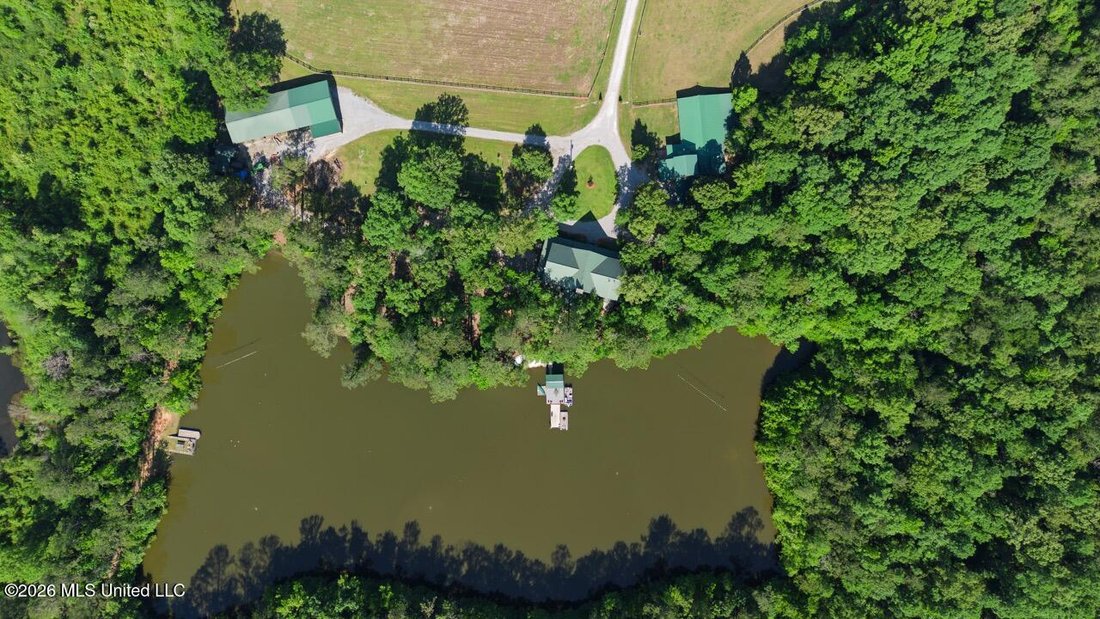 House in Camden, Alabama, United States 3 - 18179335