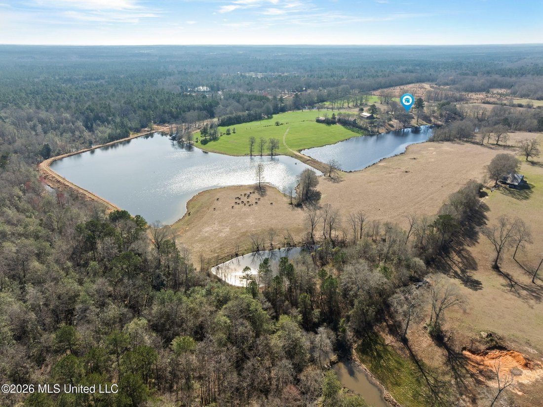 House in Poplarville, Mississippi, United States 5 - 18178997