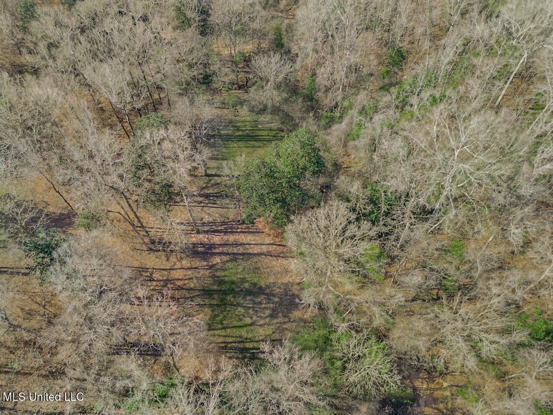 House in Saint Francisville, Louisiana, United States 3 - 18179212