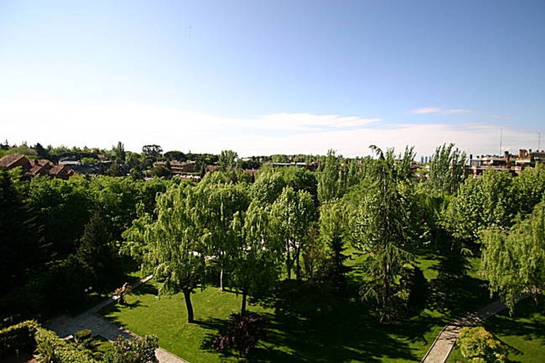 Apartment in La Moraleja, Alcobendas, Comunidad de Madrid 1 - 17547557