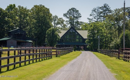House in Camden, Alabama, United States 1
