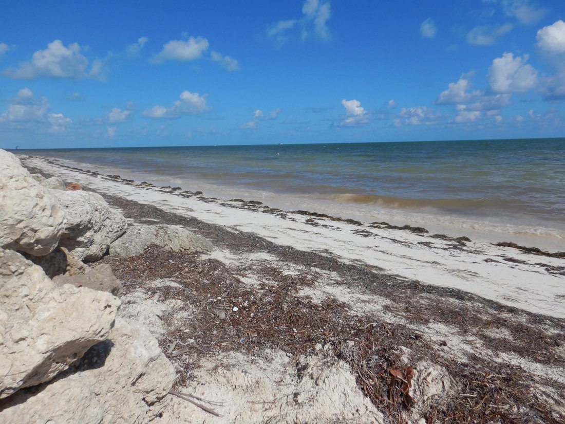 Condo in Marathon, Florida, United States 4 - 18181304