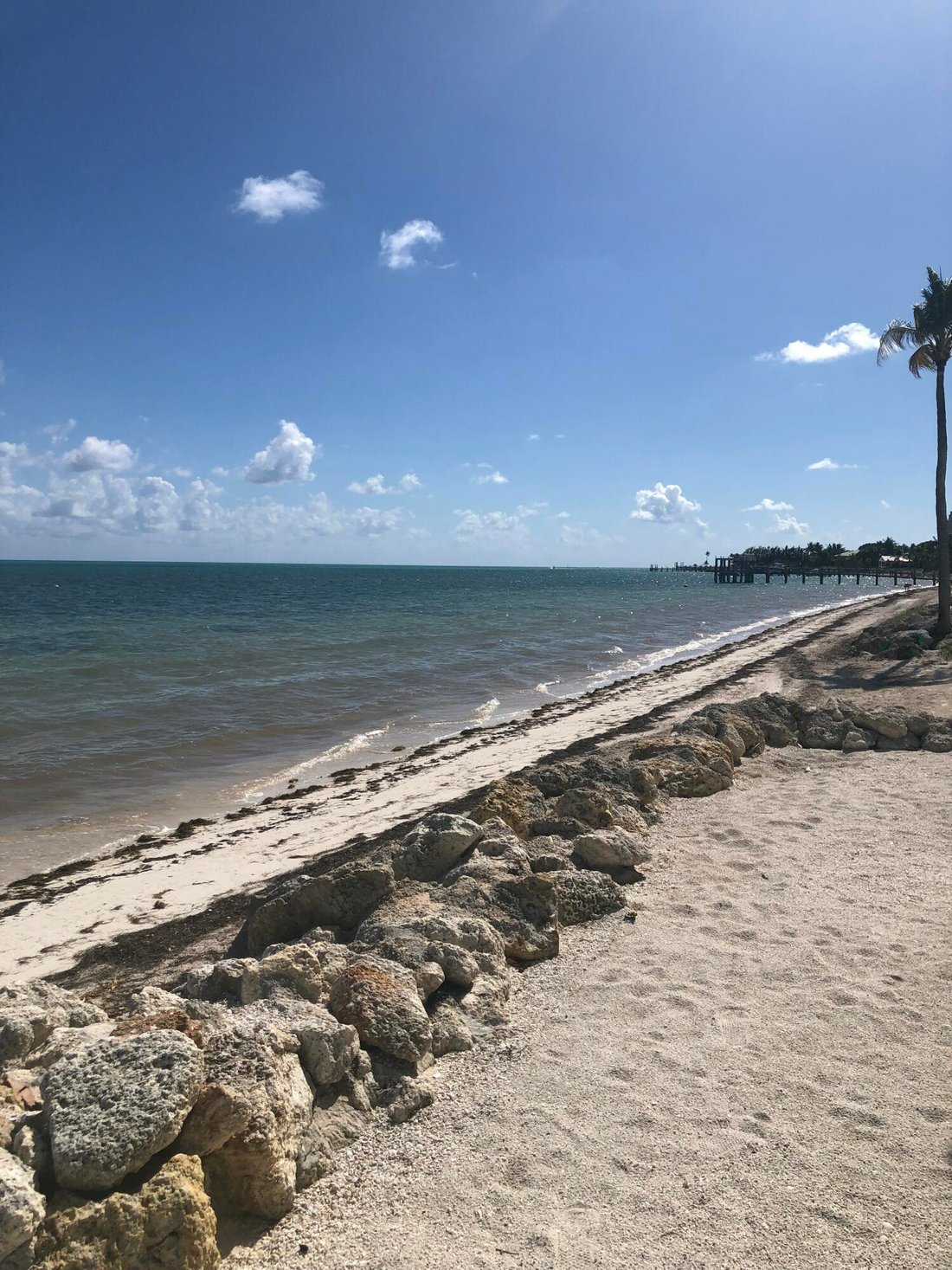 Condo in Marathon, Florida, United States 5 - 18181304