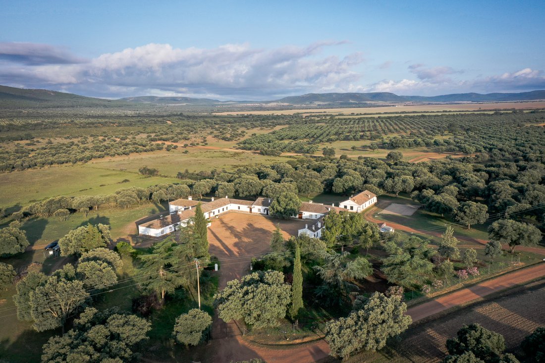 Estate in Piedrabuena, Castile-La Mancha, Spain 2 - 13134346