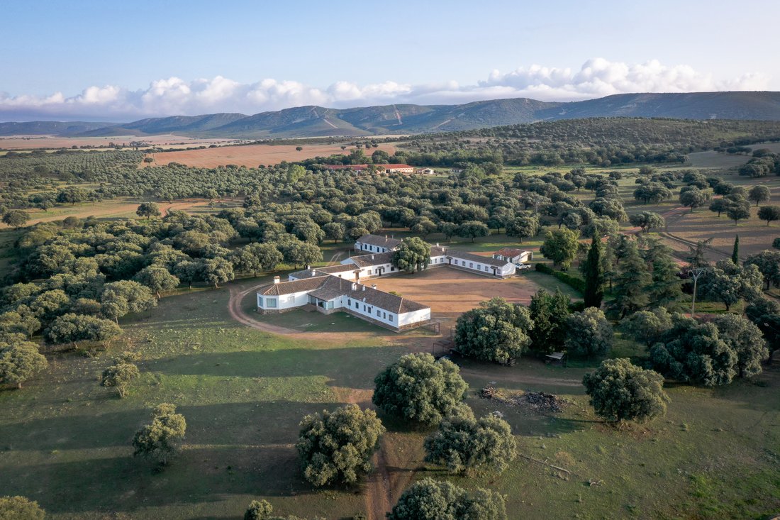 Estate in Piedrabuena, Castile-La Mancha, Spain 1 - 13134346