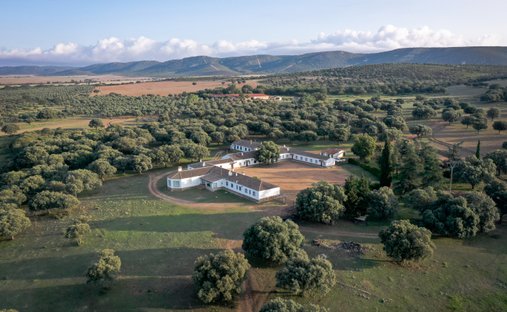 Finca en Piedrabuena, Castilla-La Mancha, España 1