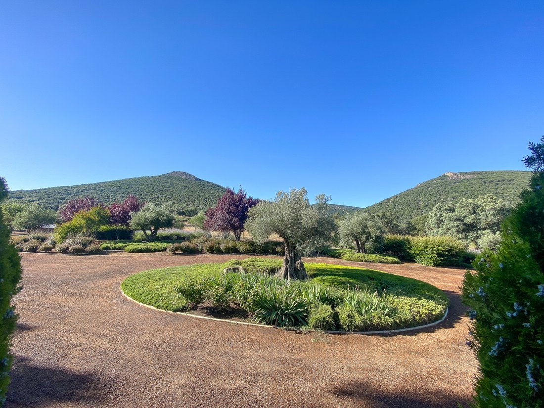 Estate in Ciudad Real, Castile-La Mancha, Spain 5 - 13285562