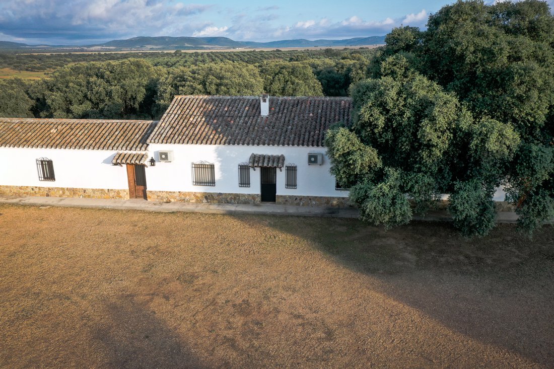 Estate in Piedrabuena, Castile-La Mancha, Spain 3 - 13134346