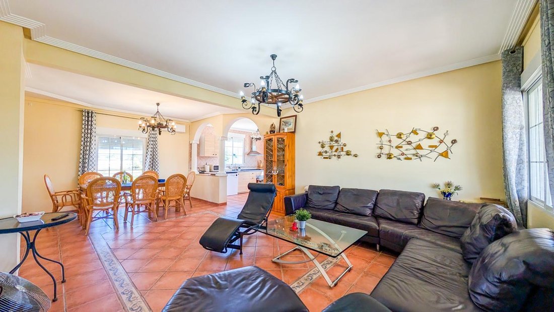 Villa in Elx / Elche, Valencian Community, Spain 5 - 18181658