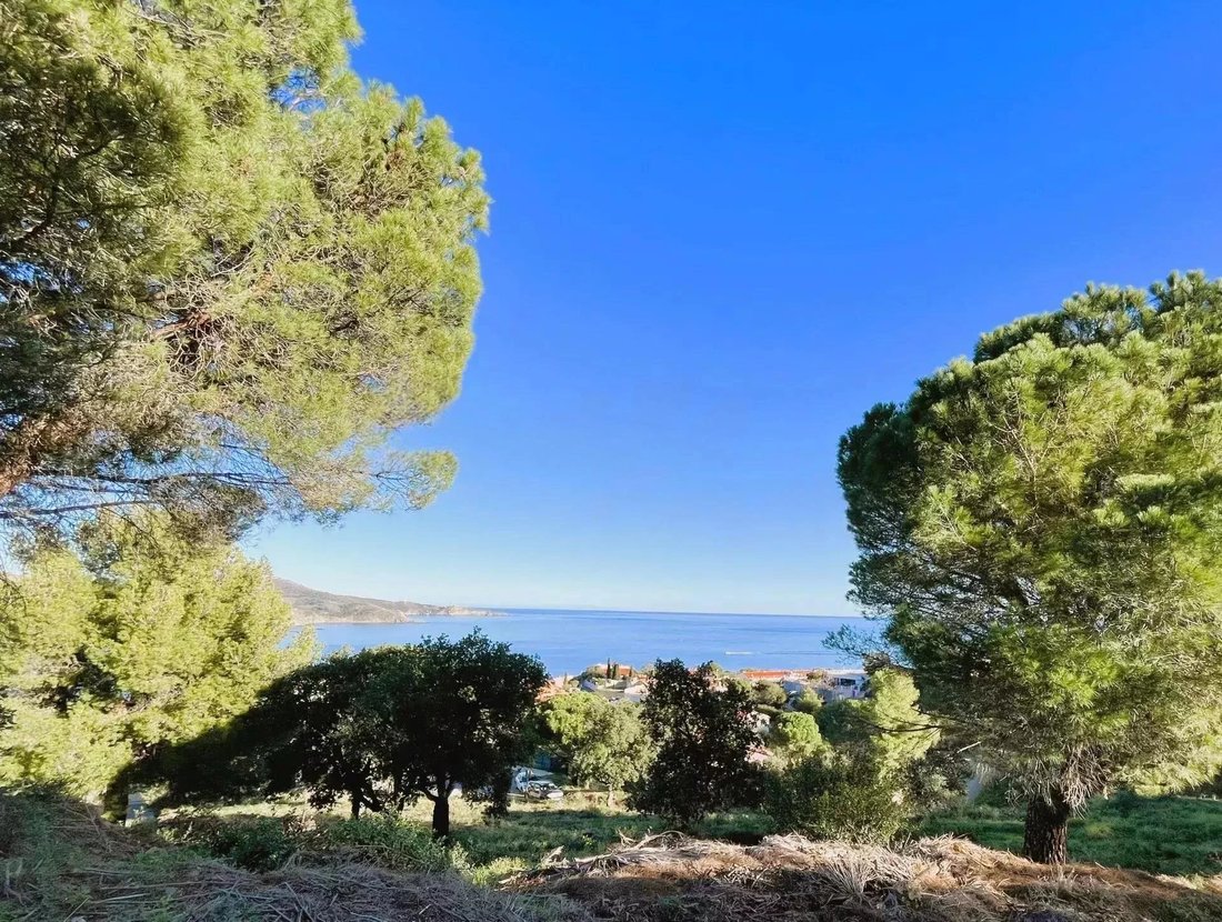 House in Ouest, Banyuls-sur-Mer, France 2 - 18182499