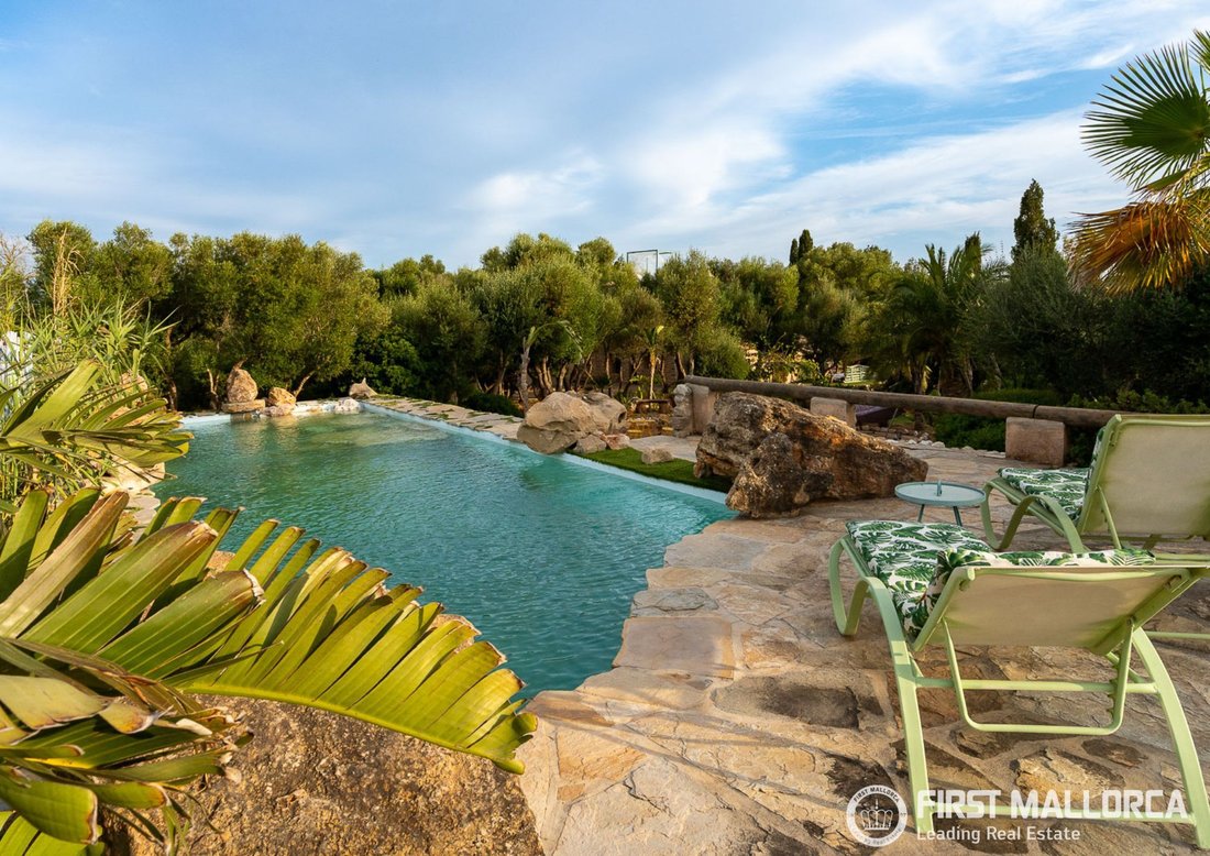 Finca in Sant Joan, Balearic Islands, Spain 4 - 18182273