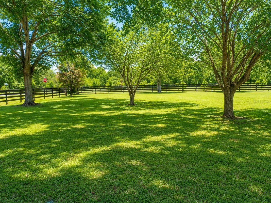 House in Alachua, Florida, United States 3 - 18186607