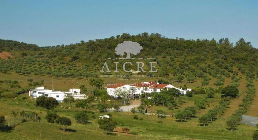 Farm Ranch in Amieira e Alqueva, Évora District, Portugal 2 - 18183121