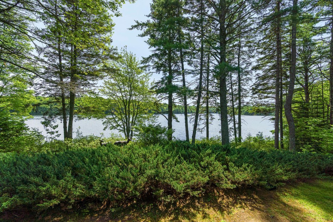 House in Bristol, Maine, United States 5 - 18183397