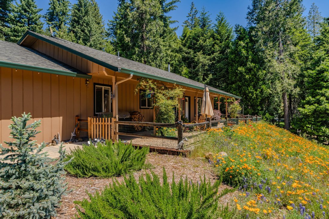 House in Pioneer, California, United States 1 - 18183007