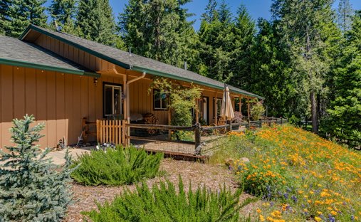 House in Pioneer, California, United States 1
