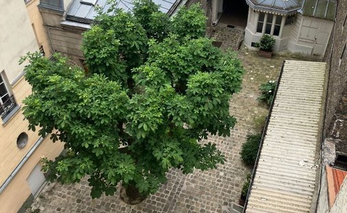 Apartment in Clignancourt-Jules Joffrin, Paris 18e Arrondissement, Paris 1