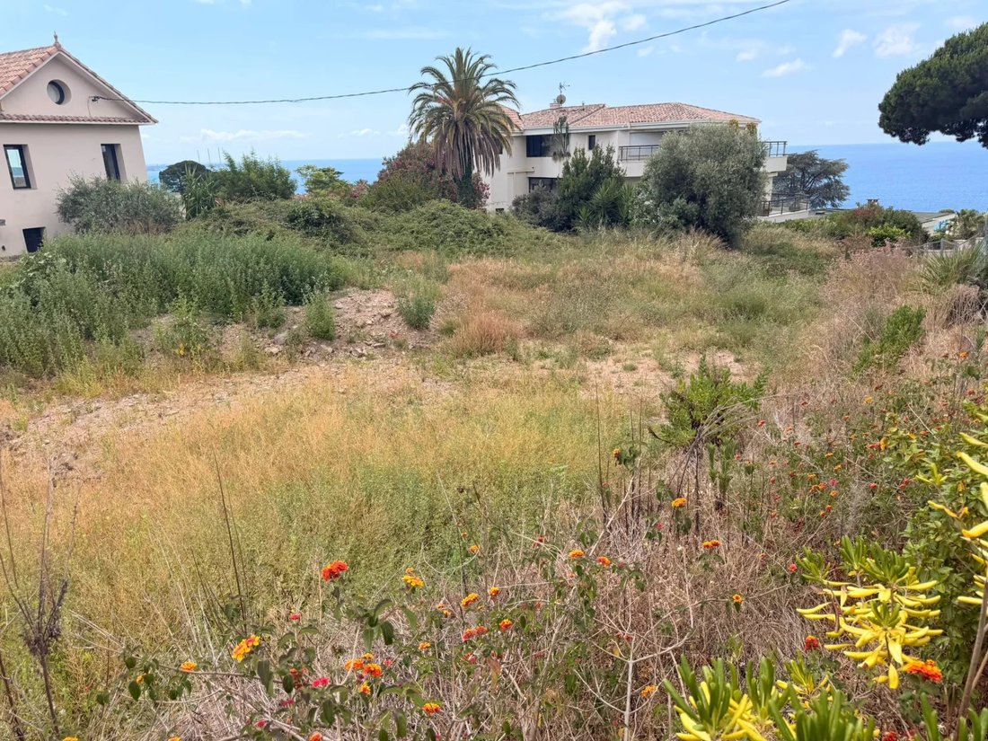 Land in Cannes, Provence-Alpes-Côte d'Azur, France 5 - 18182545
