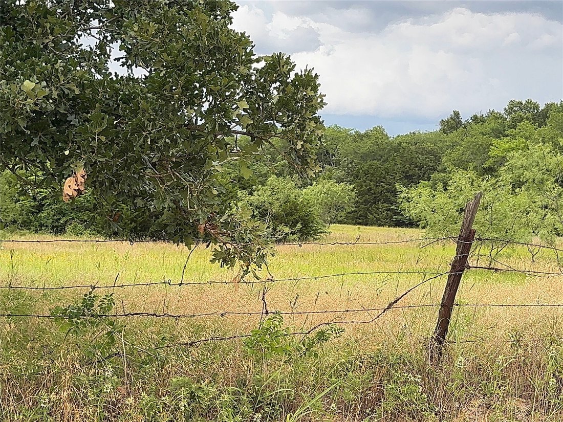 Land in Talty, Texas, United States 5 - 18079584