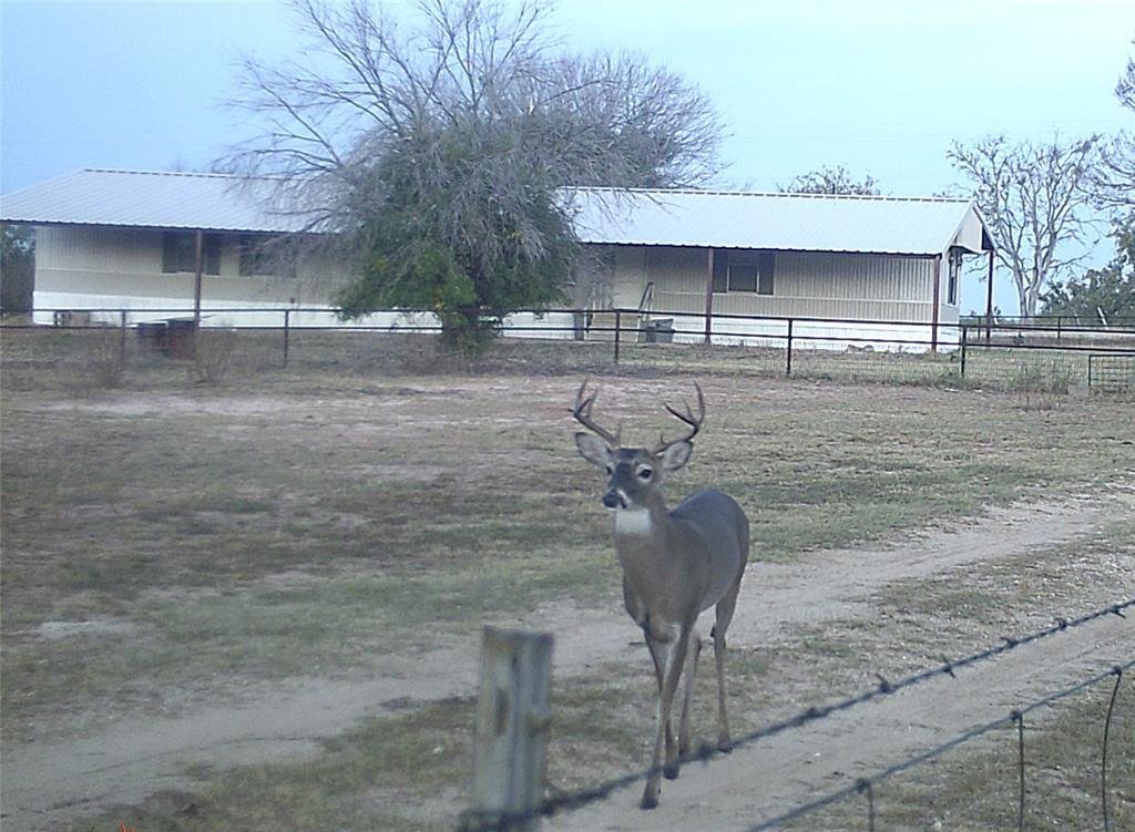 Land in Evant, Texas, United States 5 - 18184681