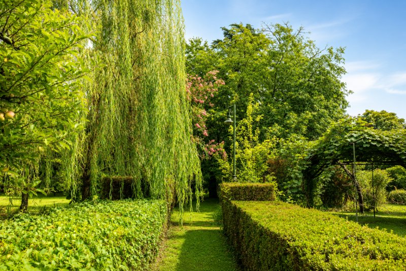 Villa in Center, Cremona, Lombardy 5 - 17696131