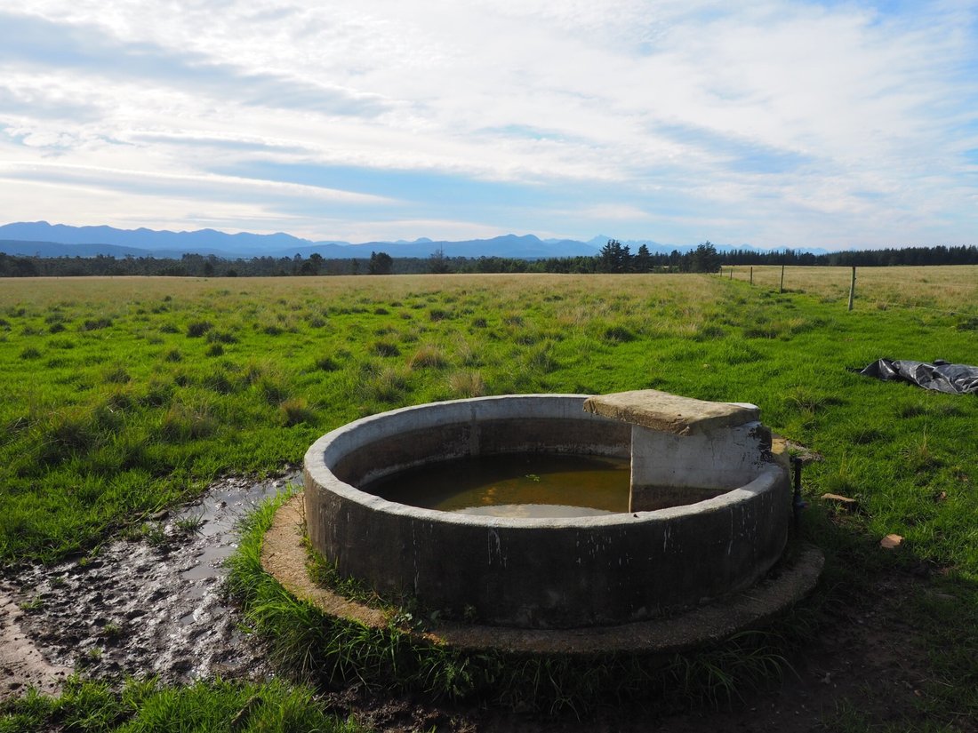 Farm Ranch in Plettenberg Bay, Western Cape, South Africa 2 - 18184658