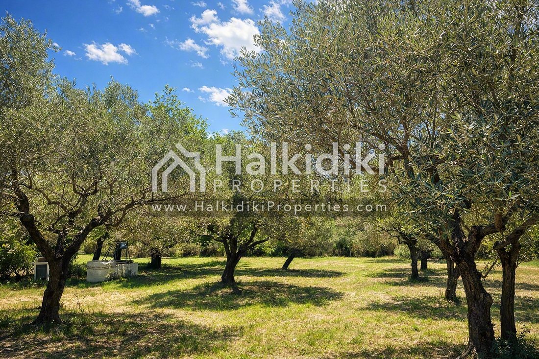 House in Sithonia, Macedonia and Thrace, Greece 3 - 18182739
