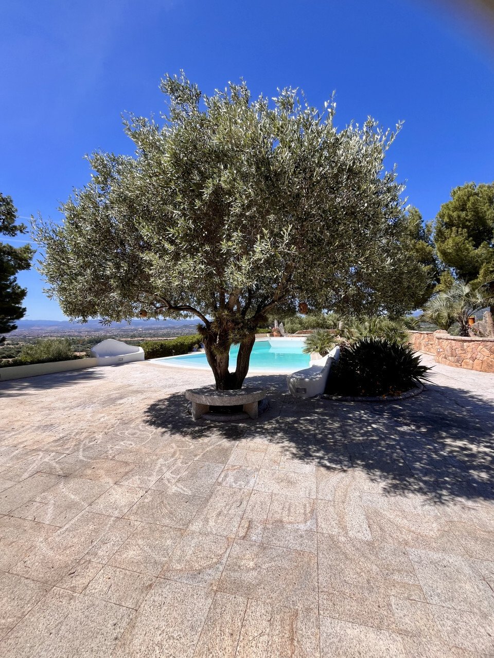 Villa in Peripheral Fractions, Olbia, Sardinia 5 - 14825868