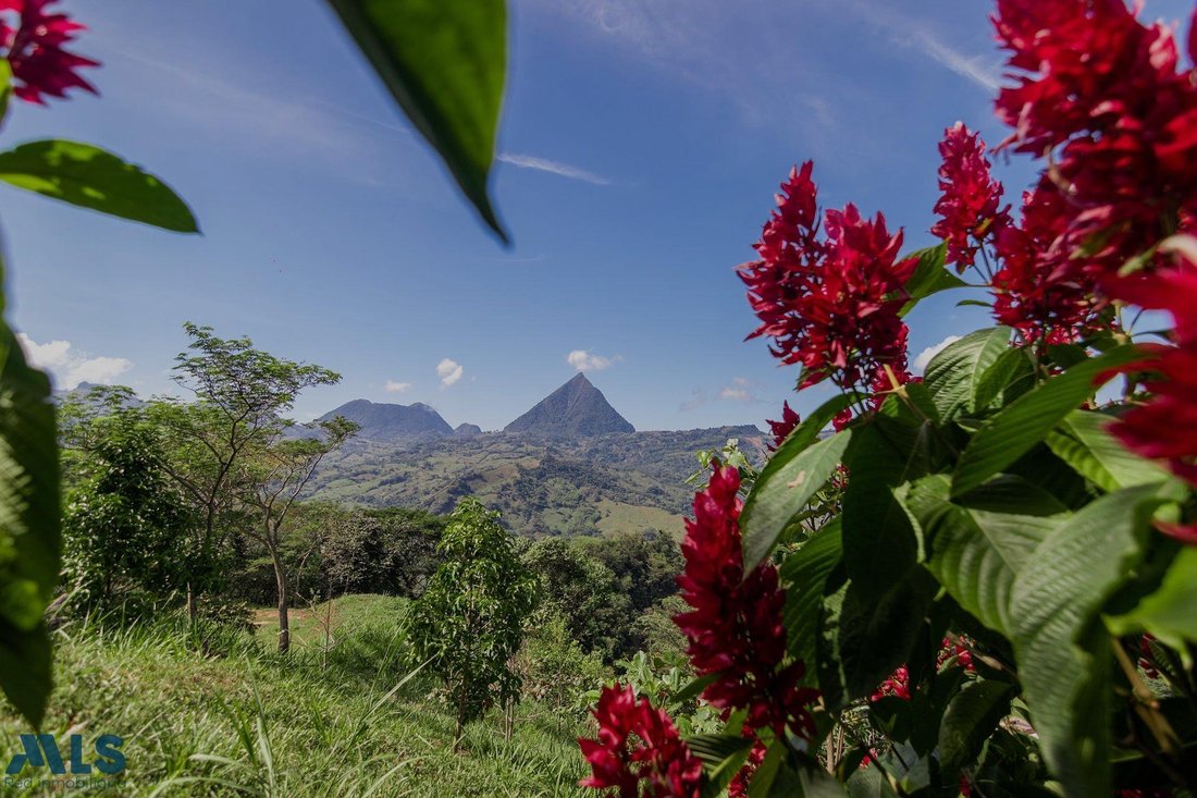 Land in La Siria, Antioquia, Colombia 1 - 18182210