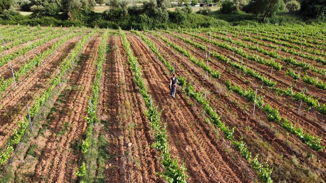 Land in Alandroal (Nossa Senhora da Conceicao), Sao Bras dos Matos (Mina do Bugalho) e Juromenha (Nossa Senhora do Loreto), Évora District, Portugal 5 - 16395400