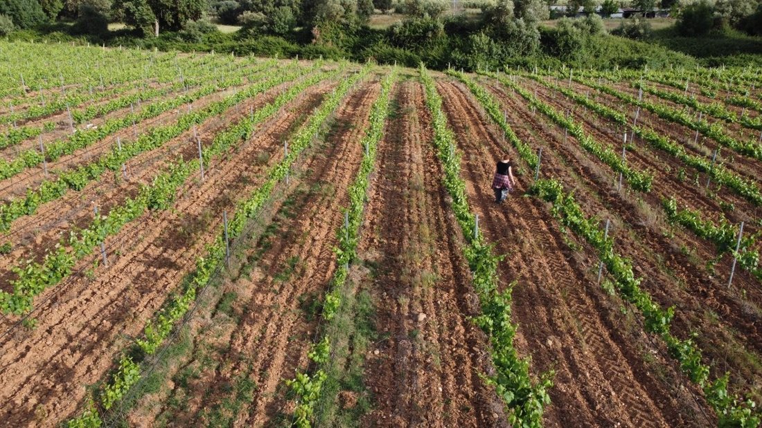 Land in Alandroal (Nossa Senhora da Conceicao), Sao Bras dos Matos (Mina do Bugalho) e Juromenha (Nossa Senhora do Loreto), Évora District, Portugal 4 - 16395400