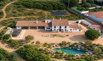 Villa in Tiana, Catalonia, Spain 1