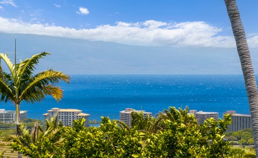 Land in Lahaina, Hawaii, United States 1
