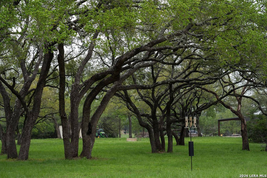 Farm Ranch in New Braunfels, Texas, United States 2 - 18184384