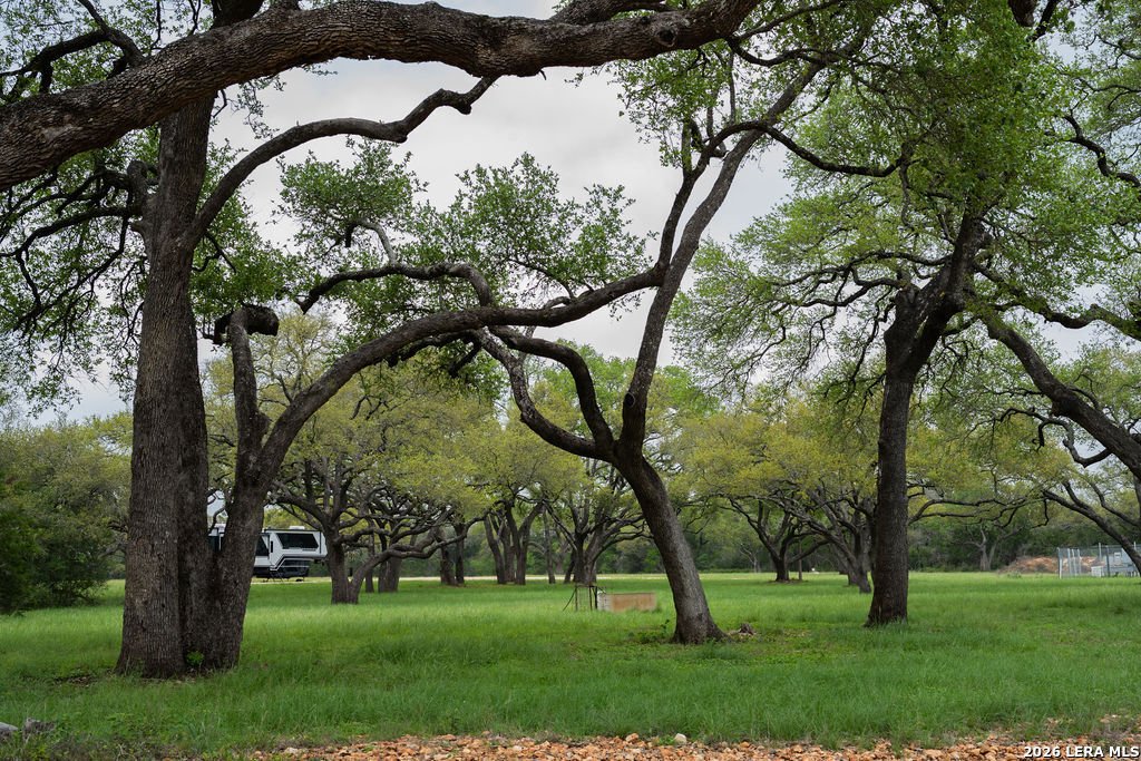 Farm Ranch in New Braunfels, Texas, United States 1 - 18184384