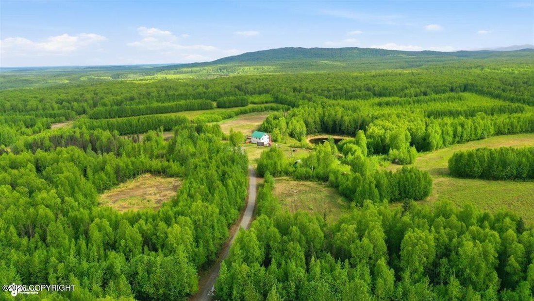 House in Talkeetna, Alaska, United States 3 - 18184799