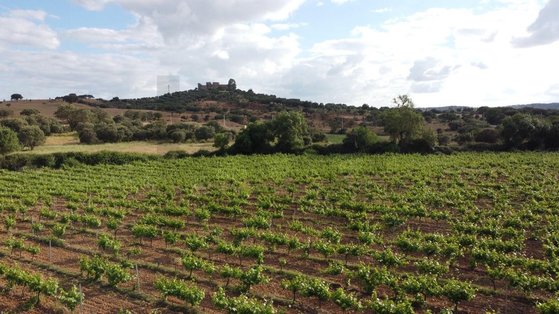 Land in Alandroal (Nossa Senhora da Conceicao), Sao Bras dos Matos (Mina do Bugalho) e Juromenha (Nossa Senhora do Loreto), Évora District, Portugal 2 - 16395400