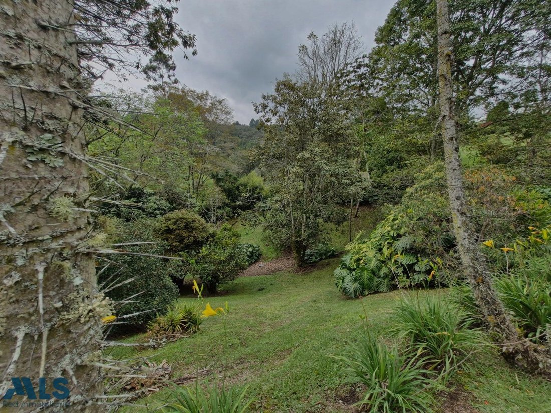 Land in Rionegro, Rionegro, Colombia 5 - 18182224