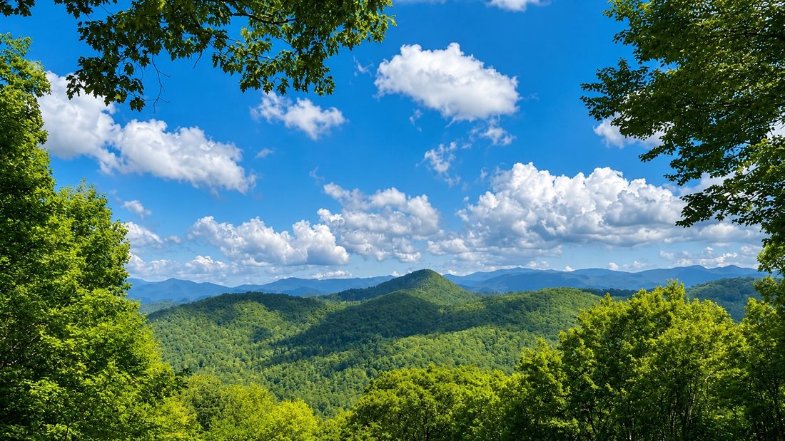 House in Glenville, North Carolina, United States 3 - 18127903