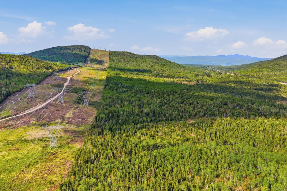 Land in Petite-Rivière-Saint-François, Quebec, Canada 4 - 16816697