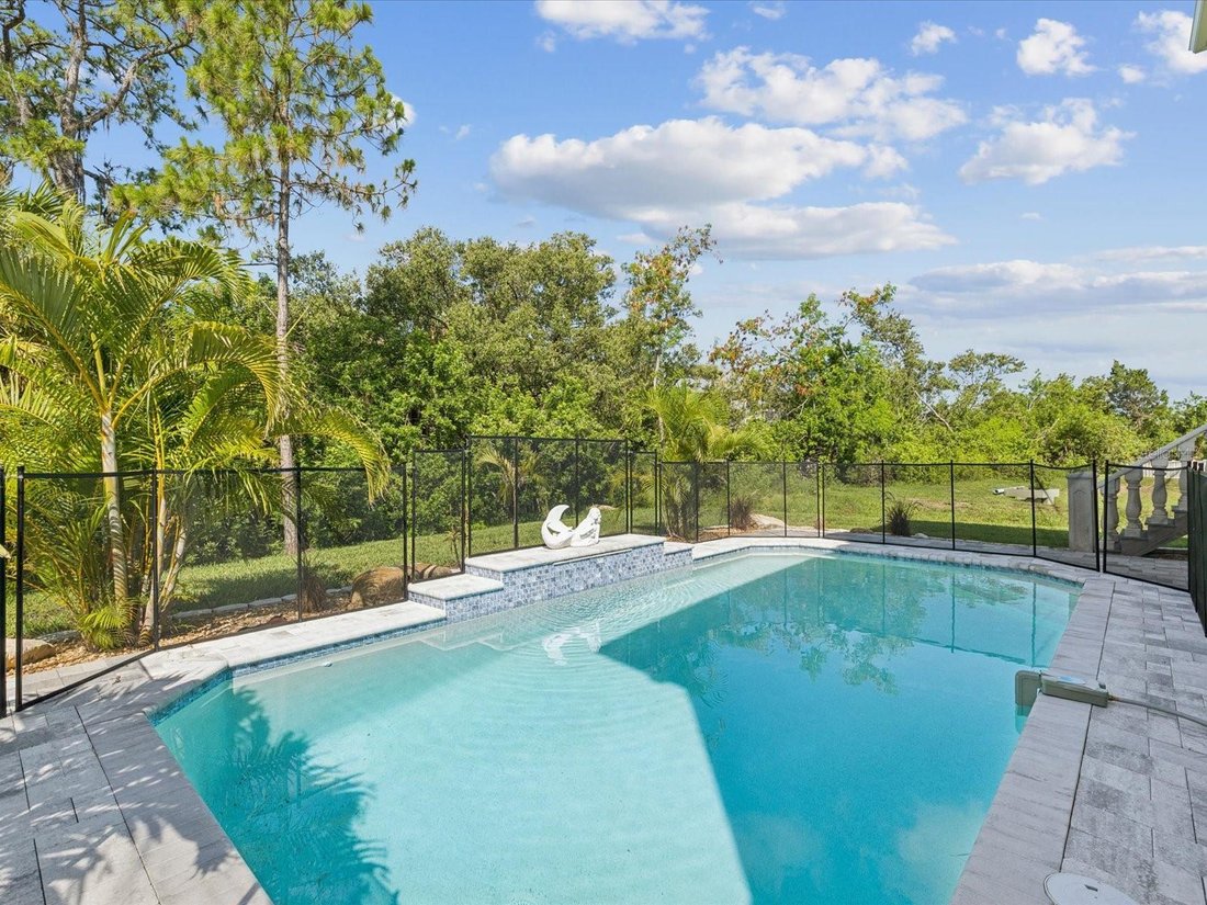 House in New Port Richey, Florida, United States 4 - 18184270