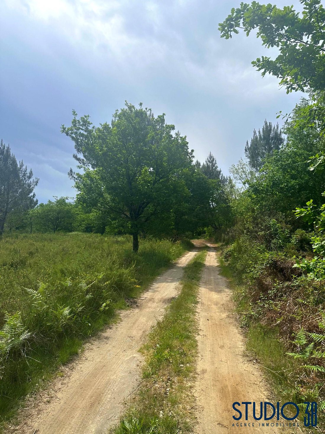 Farm Ranch in Centre Ville, Gujan-Mestras, France 2 - 17912228